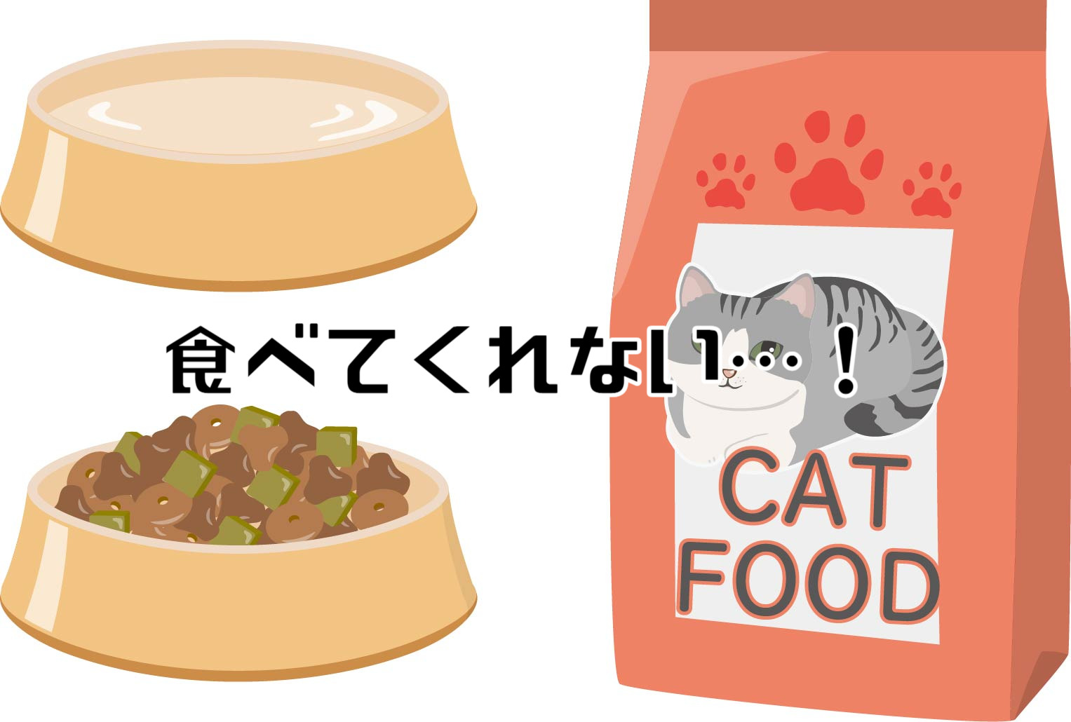 【猫日記】猫のカリカリごはんの食いつきが悪い時に超おすすめアイテム