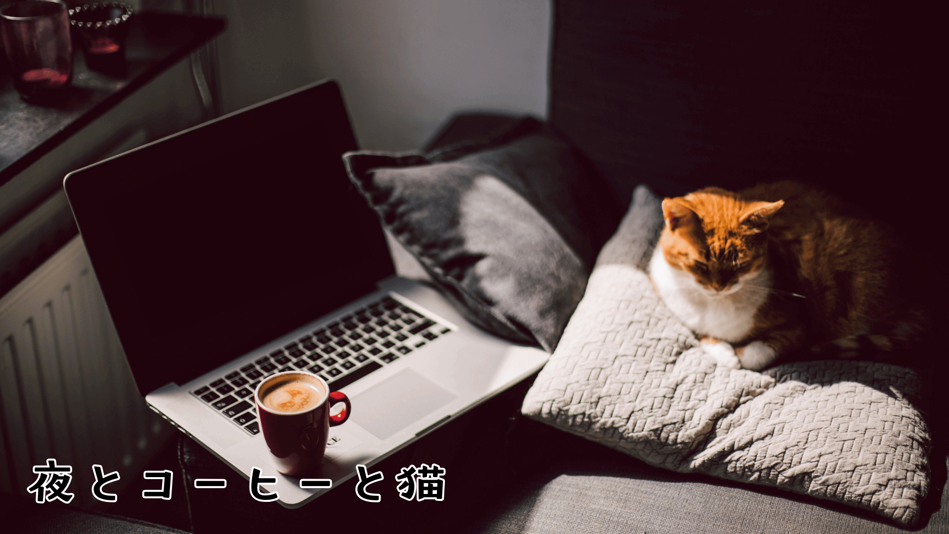 夜とコーヒーと猫