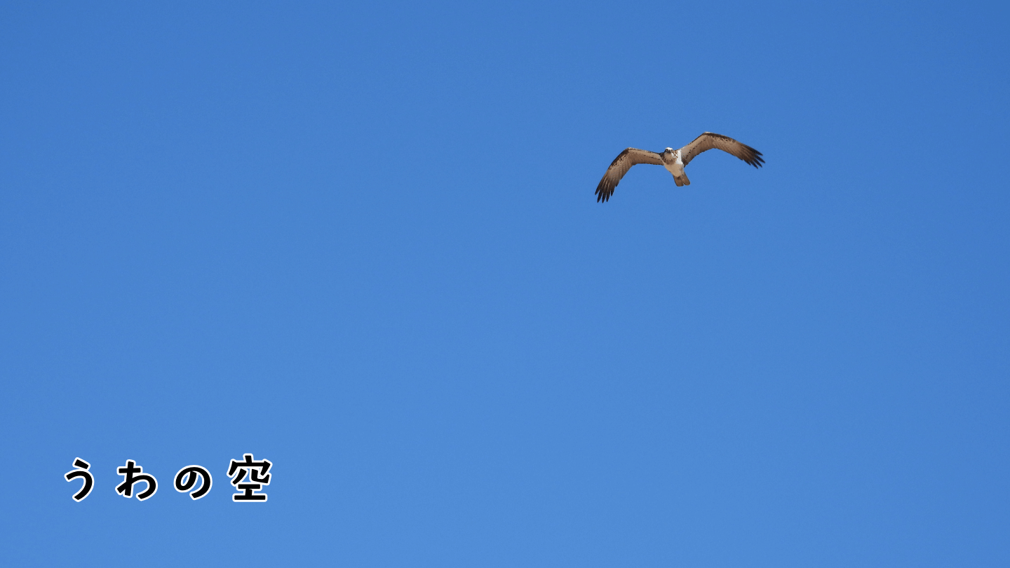 うわの空