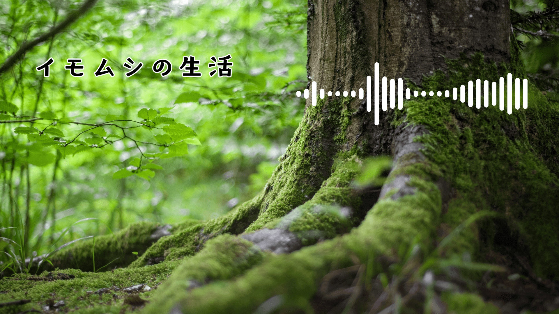 イモムシの生活