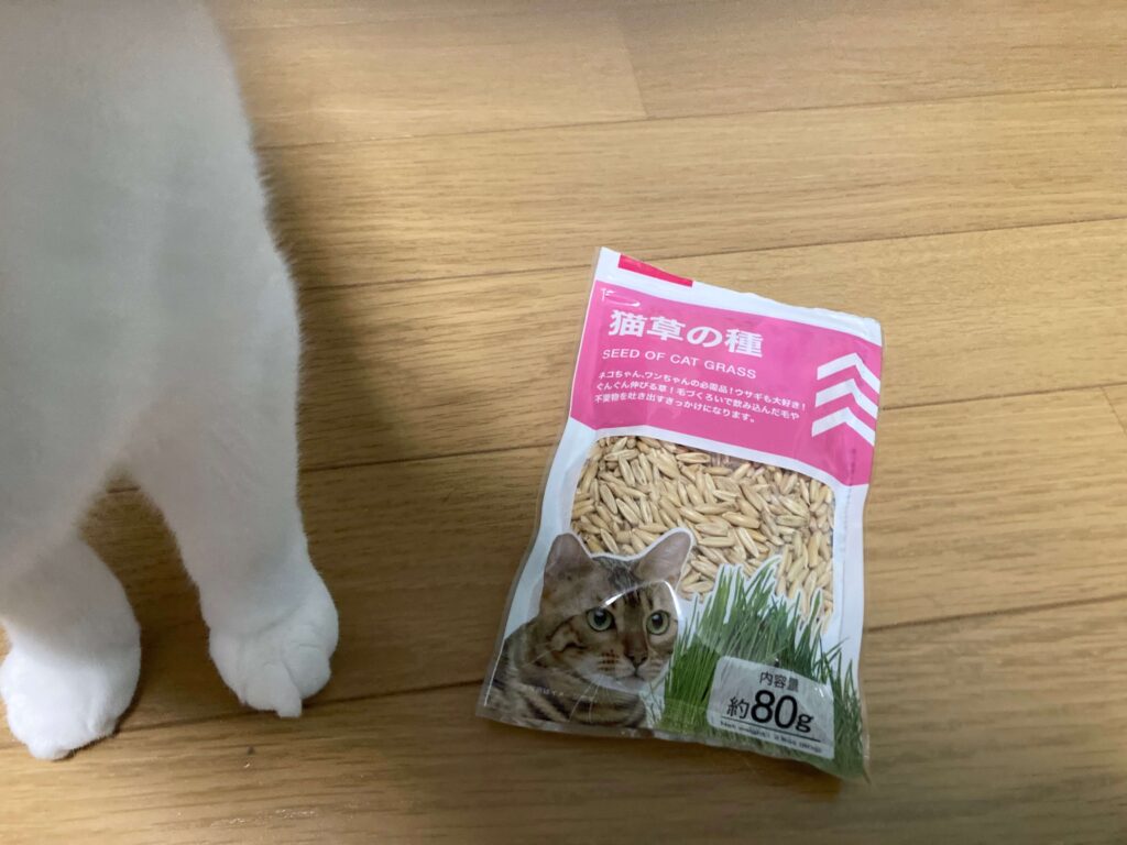 ダイソーの猫草の種