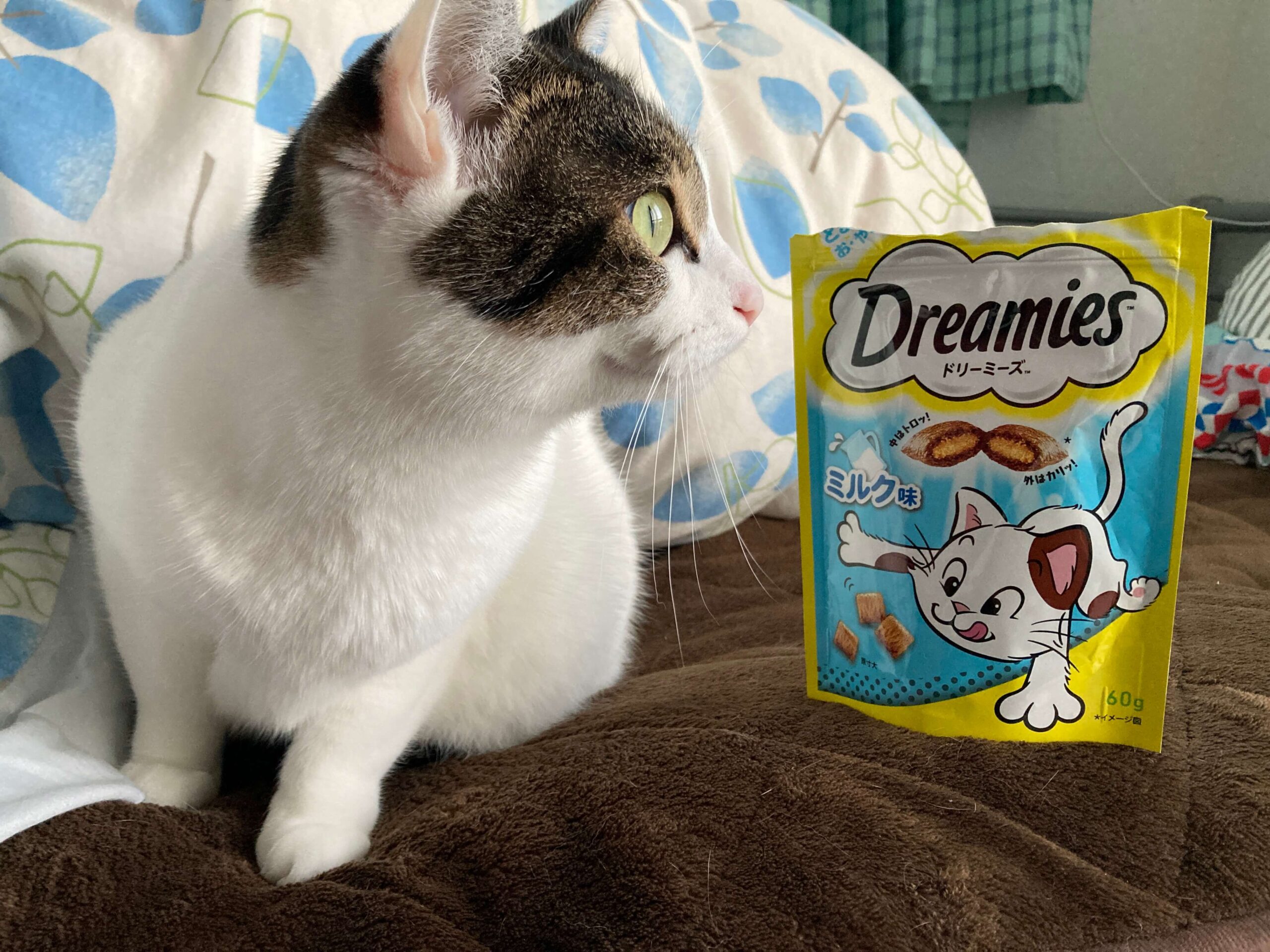 ドリーミーズDreamies猫おやつ